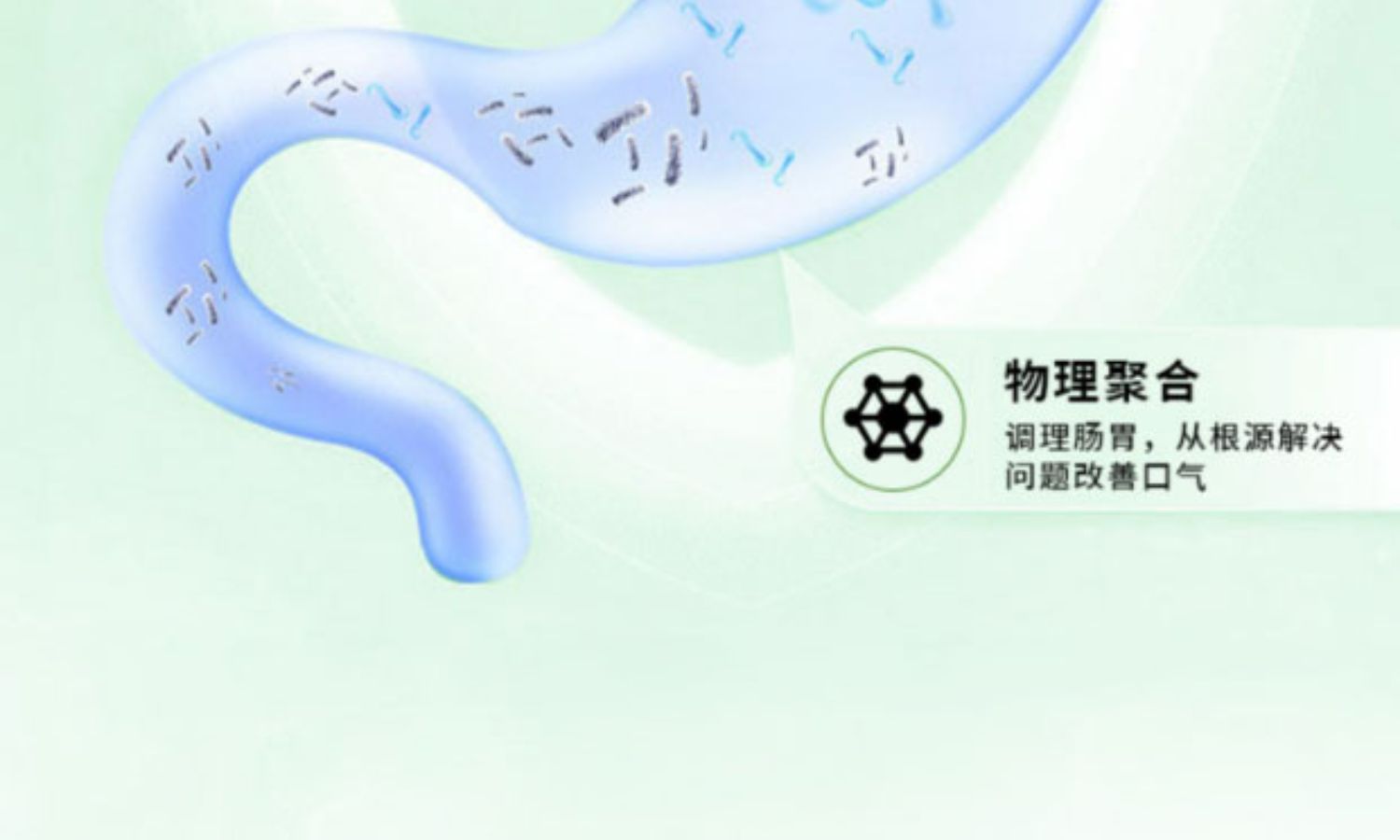 澳康华素10.jpg