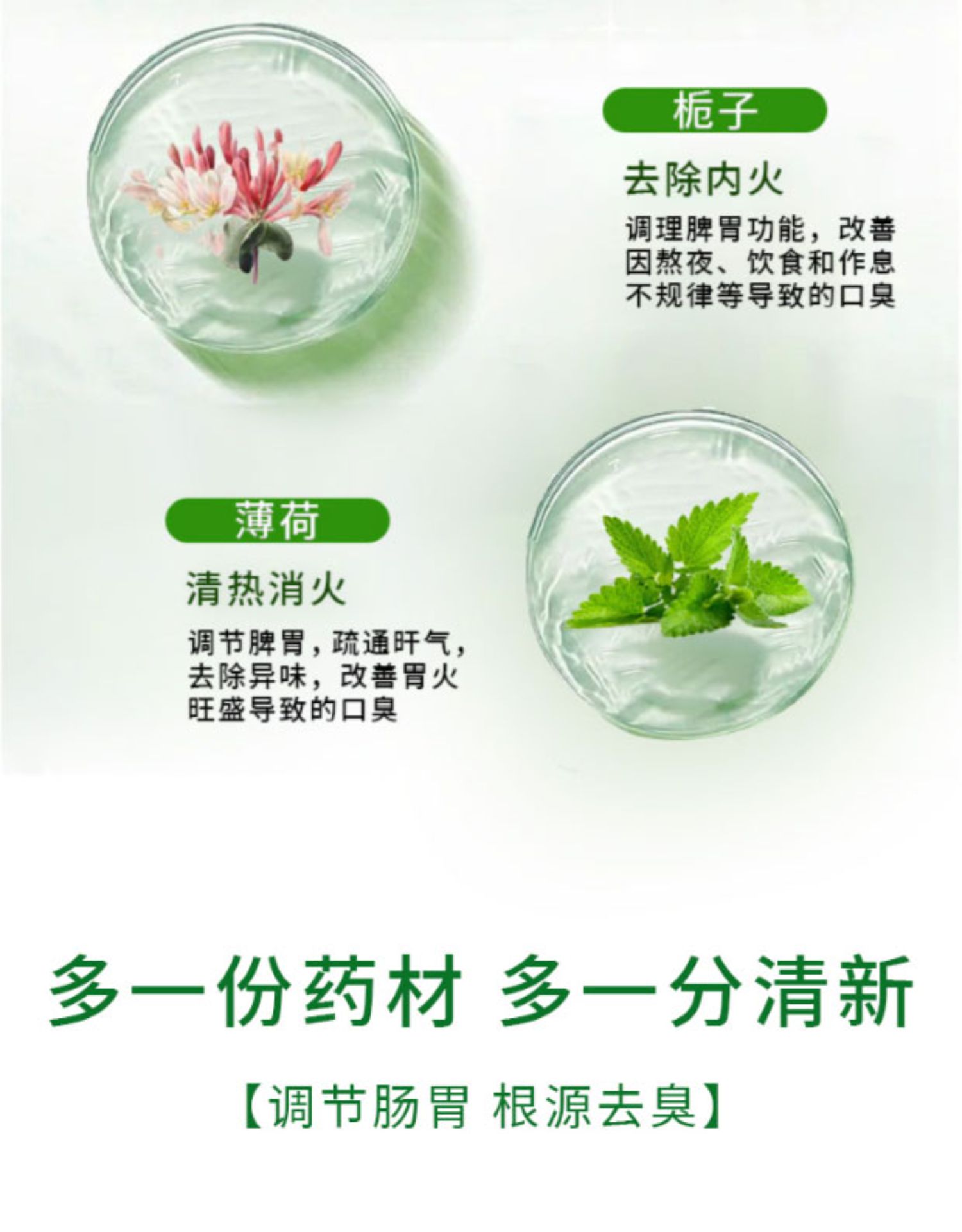 澳康华素13.jpg